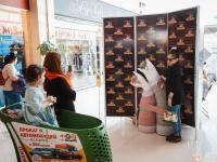 Наборы для изготовления игрушек Miadolla