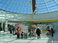 Общие виды фестиваля