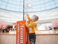 Общие виды фестиваля