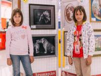 Выставка творческих работ и детских рисунков