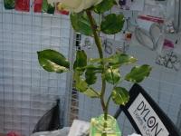 Fler полимерная глина и инструменты для создания реалистичных цветов