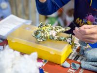 Miadolla наборы для изготовления кукол