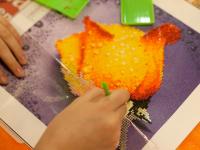 Shipper, Color kit наборы для расскрашивания по номерам