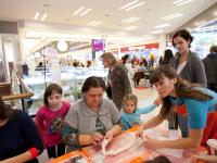 Практические мастер классы