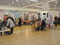 Фестиваль, обзорные фото