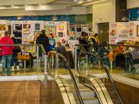 Фестиваль, обзорные фото