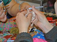 Презентация Gamma, Adelia, Alpina, Visantia пряжа и инструменты для вязания