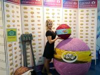 Уникальные арт-объекты Леонардо