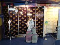 Уникальные арт-объекты Леонардо