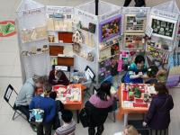 Фестиваль Леонардо, обзорные фото