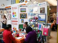 Презентация Gamma, Woolla. Товары для валяния, наборы в технике Шерстяная акварель