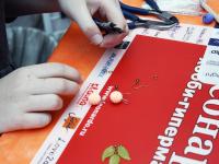 Презентация Zlatka, Toho Beads, FayCraft, Floranta. Товары для бисероплетения и создания украшений, декоративные цепочки и фурнитура